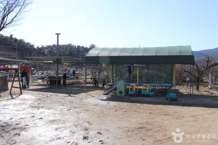 포니힐링관광농원 여행 추천 - 메고지고