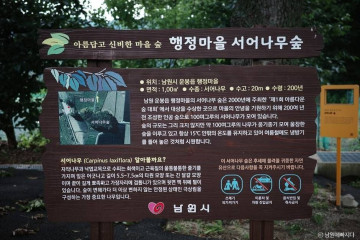 가장마을 여행 추천 - 메고지고