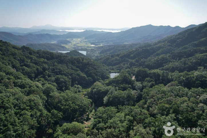 미숭산자연휴양림 여행 추천 - 메고지고