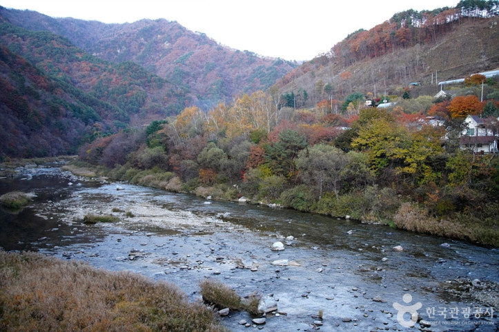 홍천 살둔마을 여행 추천 - 메고지고