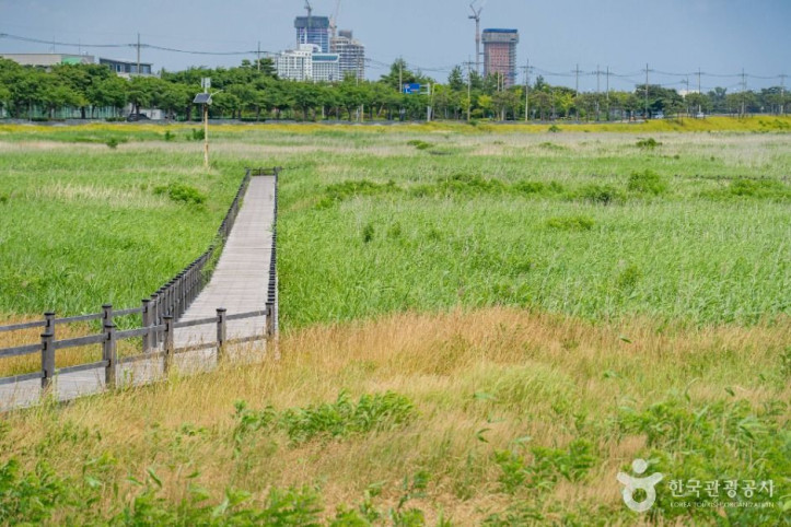 남대천 생태관찰로 여행 추천 - 메고지고