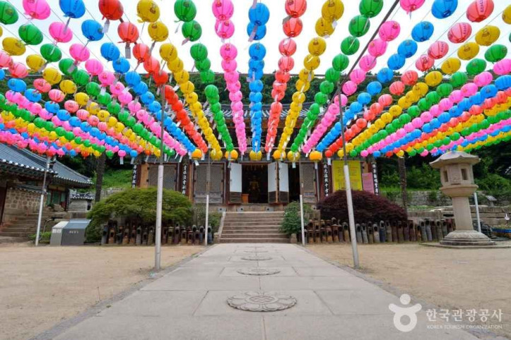 대흥사(해남) 여행 추천 - 메고지고