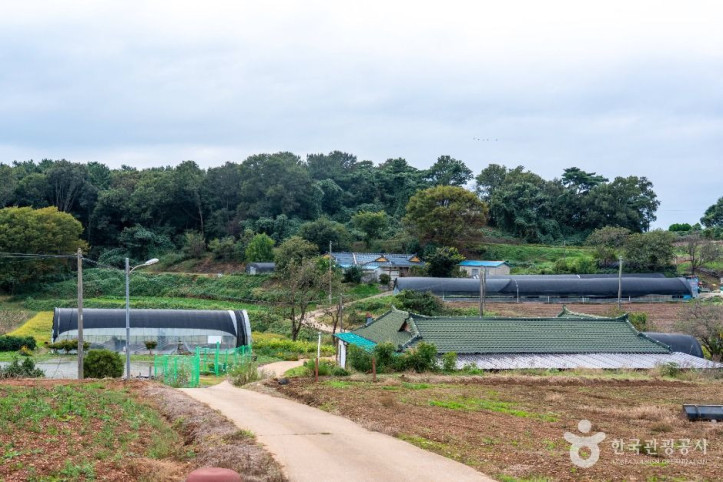 충남 서산빛들마을 여행 추천 - 메고지고