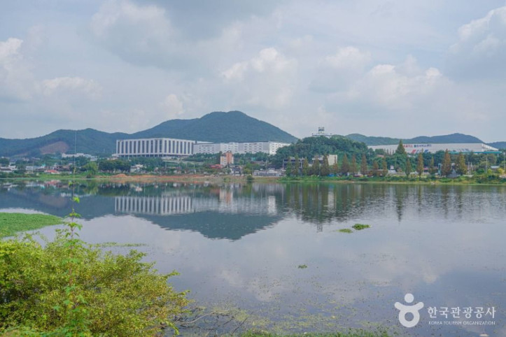 칠곡저수지 여행 추천 - 메고지고