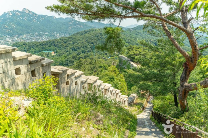 백악마루 여행 추천 - 메고지고
