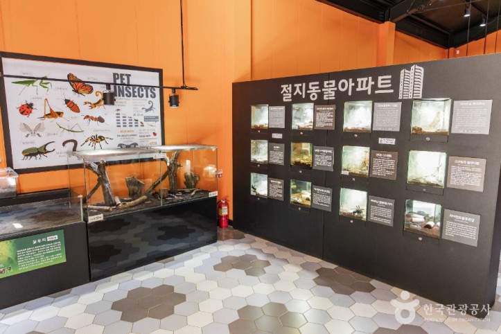 용인농촌테마파크 여행 추천 - 메고지고