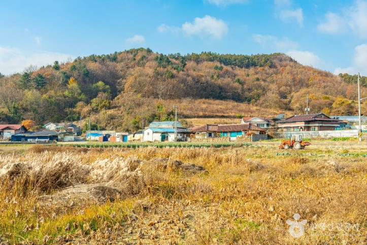 원연장 꽃잔디마을 여행 추천 - 메고지고