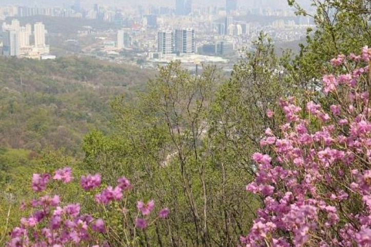 청계산 여행 추천 - 메고지고
