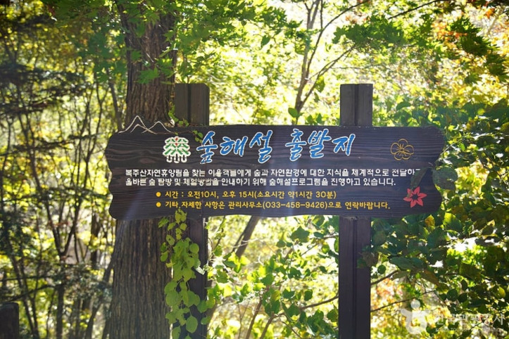 국립 복주산자연휴양림 여행 추천 - 메고지고