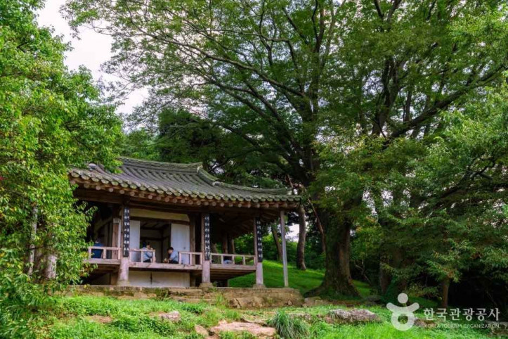 담양 명옥헌 원림 여행 추천 - 메고지고