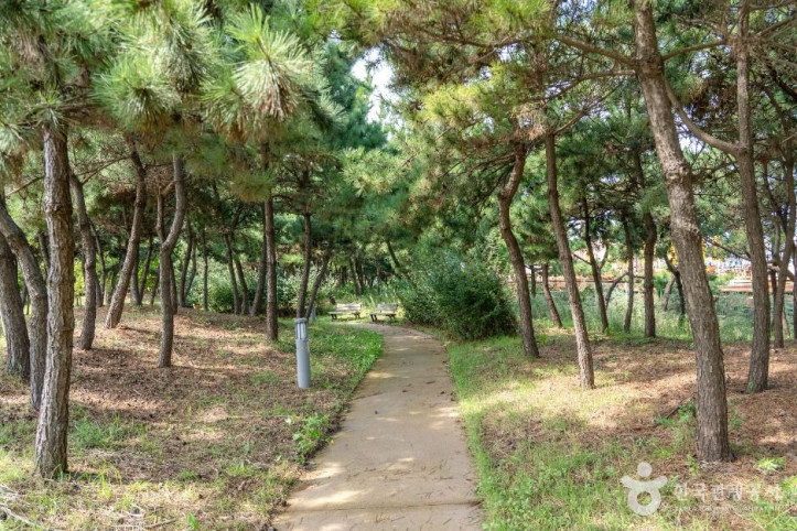 새만금 비응공원 여행 추천 - 메고지고