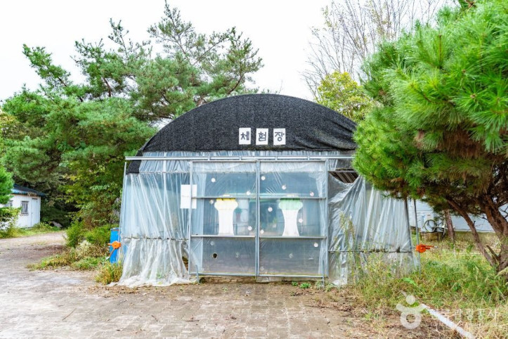 꾀꼴성마을 여행 추천 - 메고지고