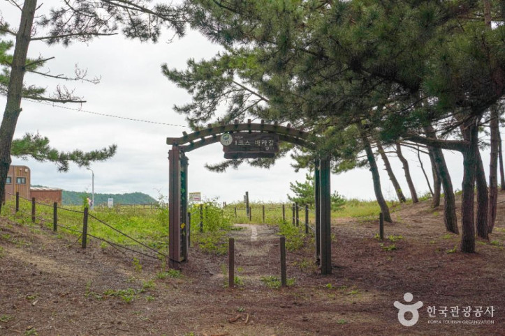 [태안 해변길] 1코스 바라길 여행 추천 - 메고지고