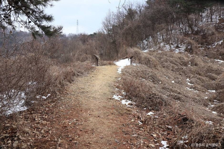 충주 대림산성 여행 추천 - 메고지고