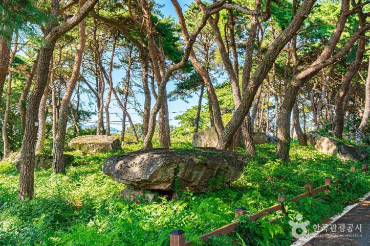 함평용월리지석묘군 여행 추천 - 메고지고