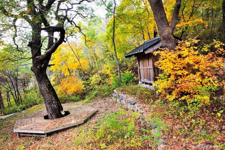노추산 여행 추천 - 메고지고