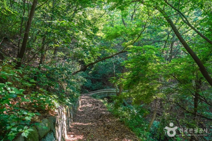 거창 둔마리 벽화 고분 여행 추천 - 메고지고