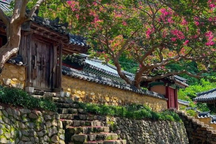 도암서원(고령) 여행 추천 - 메고지고