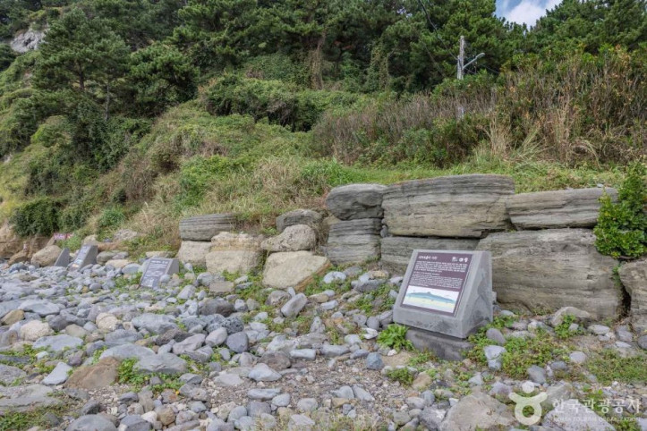서귀포 패류화석산지 여행 추천 - 메고지고