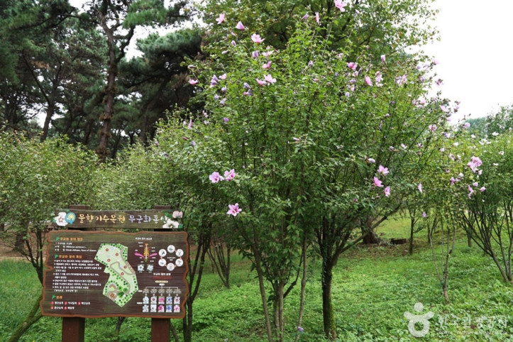 물향기수목원 여행 추천 - 메고지고