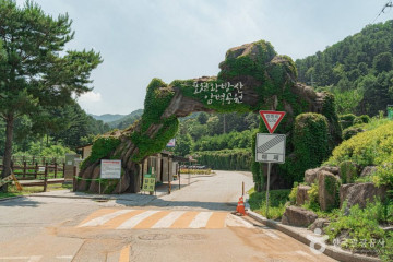 포천 어메이징파크 여행 추천 - 메고지고