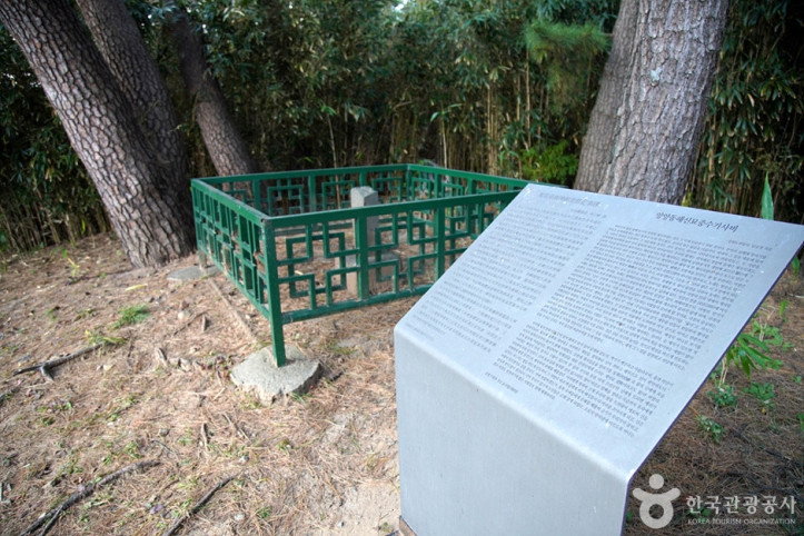 양양동해신묘지 여행 추천 - 메고지고