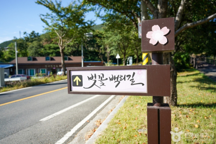 영천댐 여행 추천 - 메고지고