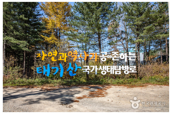 태기산 여행 추천 - 메고지고