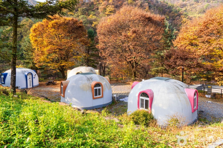 단양 다리안관광지 여행 추천 - 메고지고