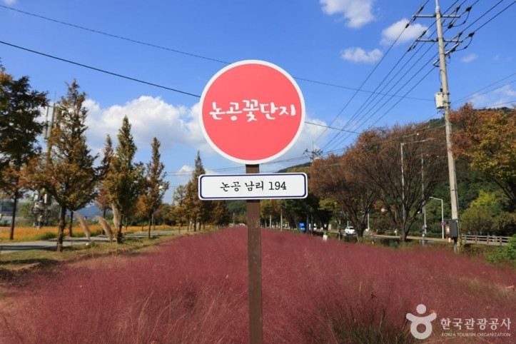 논공꽃단지 여행 추천 - 메고지고
