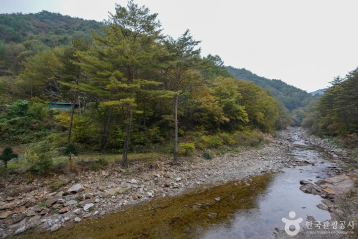 고선계곡(구마계곡) 여행 추천 - 메고지고