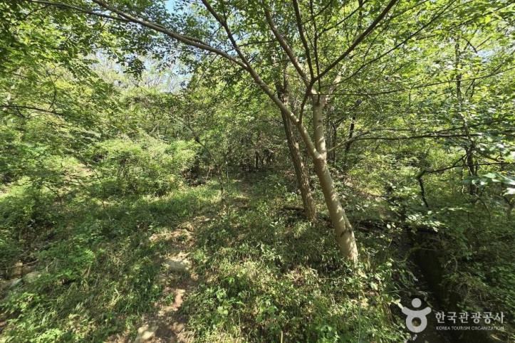 창원 진례산성 여행 추천 - 메고지고