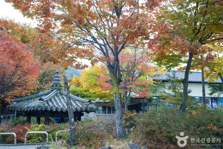 다덕약수탕 여행 추천 - 메고지고