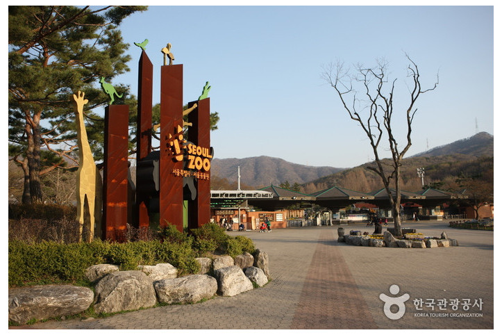 서울대공원 여행 추천 - 메고지고