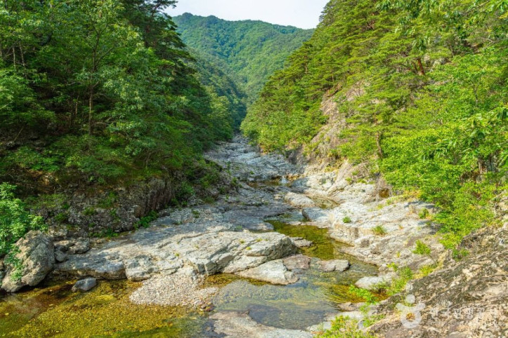 신선계곡 여행 추천 - 메고지고