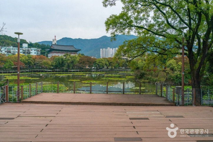 성당못 여행 추천 - 메고지고