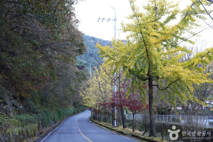 연화산도립공원 여행 추천 - 메고지고