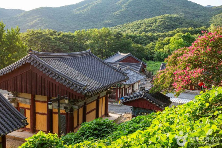 선석사(경북) 여행 추천 - 메고지고
