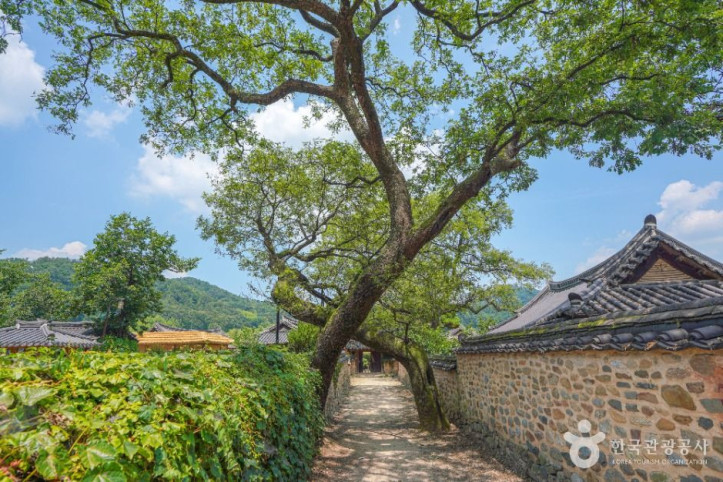 산청 남사리 이씨고가 여행 추천 - 메고지고