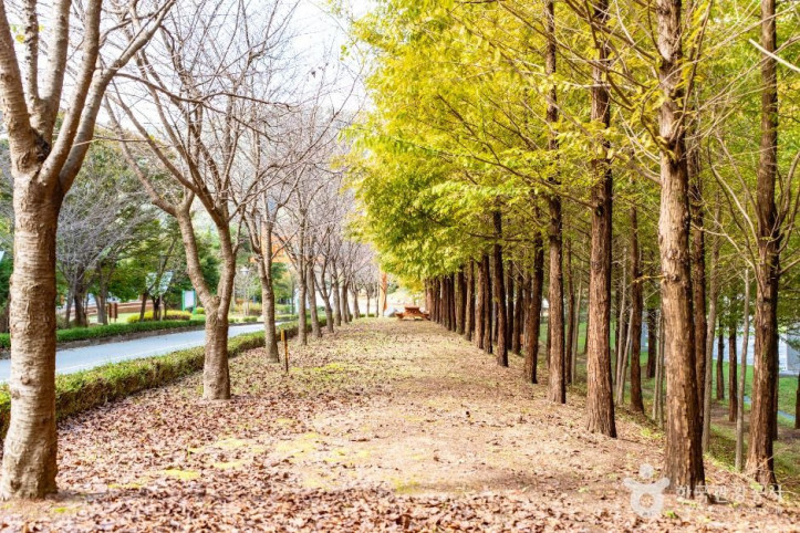한민족역사문화공원 여행 추천 - 메고지고