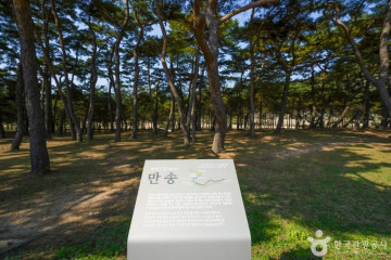 안동 하회마을 겸암정사 여행 추천 - 메고지고