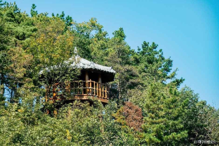 옥연지 송해공원 여행 추천 - 메고지고