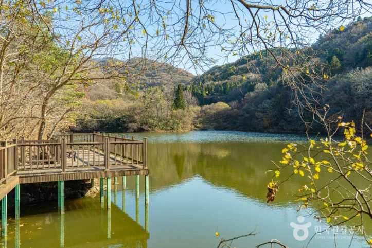 세량지 여행 추천 - 메고지고