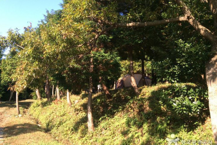 주작산자연휴양림 여행 추천 - 메고지고