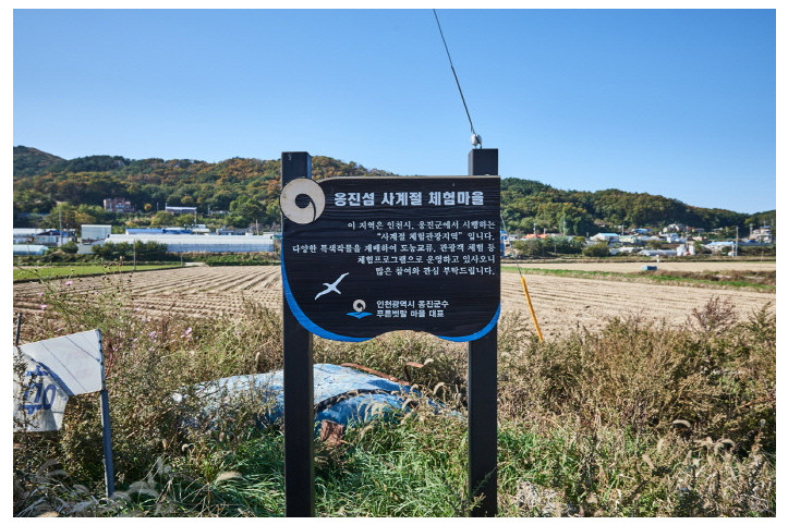 인천 푸른벗말 여행 추천 - 메고지고