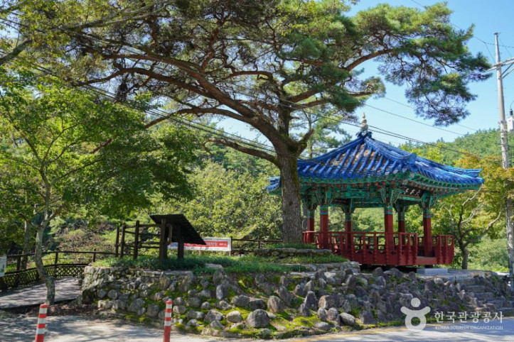 육모정 여행 추천 - 메고지고