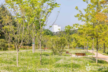 초전시민체육공원 여행 추천 - 메고지고
