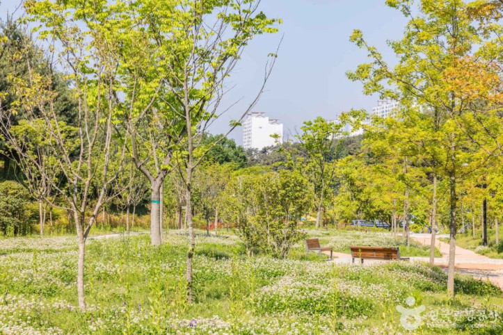 금호못유원지 여행 추천 - 메고지고