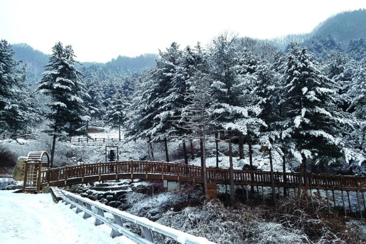 칼봉산자연휴양림 여행 추천 - 메고지고