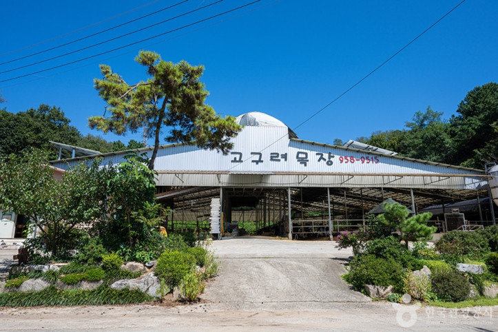 고구려목장 여행 추천 - 메고지고